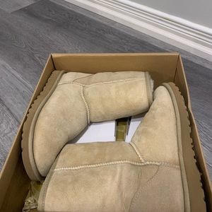 Brand New classic short UGGs in size 6